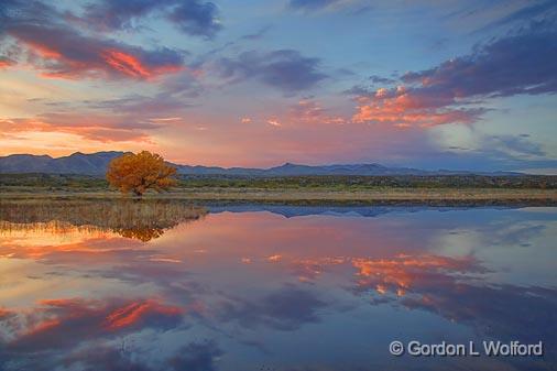 Bosque Sunset_73352.jpg - Photographed in the Bosque del Apache National Wildlife Refuge near San Antonio, New Mexico USA. 